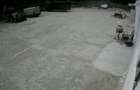 Inchiriez curte betonata 2000 mp - 1
