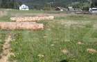 Teren intravilan, 979 mp, zona Plaiu Sarului - Vatra Dornei - 2