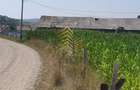 Teren De Vanzare Comuna Dumitra | Intravilan |