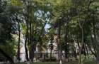 Apartament 2 camere Copou - pentru inchiriat - 2