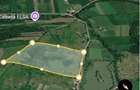 Teren 2,53 ha cu 4.458 mp intravilan - 3