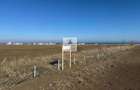 Teren intravilan 47.400 mp, Vama Veche, 200 m de Marea Neagra - 12
