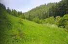 Teren de 1500 mp, în Bicazu Ardelean