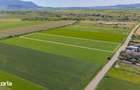 Teren 9.300 mp Stupini | Front 45.59 m la Asfalt | PUG Zona L1c - 6