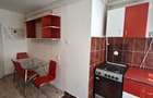 Apartament 1 camera Zona Transilvaniei, Parter Inalt - 3