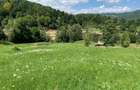 Vand teren intravilan in apropierea Manastirii Diaconesti - 6