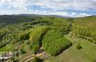 Proprietate exclusiva in inima naturii 13.700 mp cu padure proprie - 1