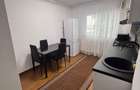 Apartament pentru inchiriat pe temen lung - 8