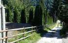 Sinaia inchiriez garsoniera/cabana A frame - 1