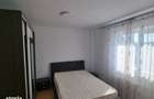 Apartament 2 camere Nicolina , 54 metri, etaj 3 Cod:163119 - 3