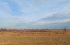 Teren LAC Butimanu - Barbuceanu 19000 m2 deschidere 51m lac - 37m la drum - 4