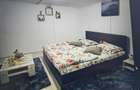 Teren munte cu cabana lemn si casa modulara - 3