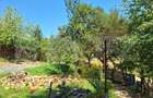 Casa 3 camere, 129mp, zona Viisoara , teren 1240mp - 2