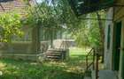 Casa cu 2 camere, teren 3000 mp, padure - 11