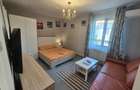 Apartament 2 camere de inchiriat extrasezon - 3