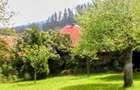 Proprietate: 1500mp, cu casa saseasca autentica, in Cristian, Brasov - 4