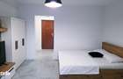Apartament cu 1 camera de inchiriat Mazepa Rosiori - 11