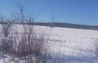 Teren Intravilan | 500 mp | Almasu Mic IAKAB ISTVAN - 2