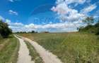 Teren 4.350 mp Balta Pasarea - 30 minute Bucuresti - 2