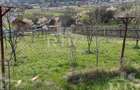 Teren in suprafata de 6300 mp extravilan in Garbau - 4