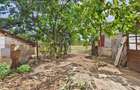 Casa Tileagd, 25 km Oradea, teren 328 mp - 15