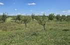Teren in zona Rascruci ideal pentru hala, toate utilita?ile - 3