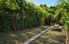 Apartament spa?ios la casa, ultracentral in Cisnadie - 11