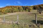 De vanzare teren intravilan 5.200 mp front 40 m DN10 Teliu, Brasov
