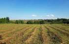Vand teren intravilan - 2