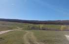 Teren de 2600 mp, în Reuseni - 4