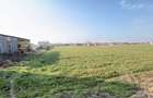 Casă 4 camere, Teren 2.948 mp Tiream SM - Comision 0% cumpărător - 9