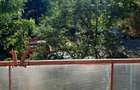 Apartament cu 3 camere confort sporit Gradini Manastur