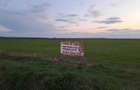 Teren de 12 100 mp, FS=124 ml in Giroc - 4