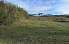Teren Colonia Valea Fanatelor - 6