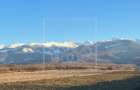 Teren intravilan de vanzare in Arpasu de Sus, 2000 mp, vedere spre mun - 5