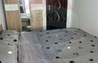 De inchiriat apartament 2 camere RED 21, Arad - 7