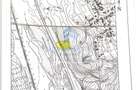 Teren 5.000 Mp situat chiar pe DN1 cu deschidere 50Ml directa la dn1 - 3