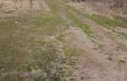 Teren URZICENI Peste Linie, Langa GRADINITA 1600 mp, 17m la drum X 95m - 7
