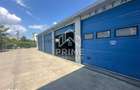 Hala 273 mp + zona de locuit| Pretabil service auto| Alba Iulia - Opor - 6