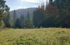 Teren de vanzare 3800 m2 - 5