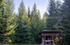 2 Cabane lemn Vadu Negrilesei, 96MP, 1100 MP teren, 45k