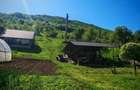 Casă cu Teren 3000 Mp în Ponoarele - 4
