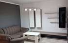 Apartament 2 camere de inchiriat Ared- Supeco Micalaca - 4