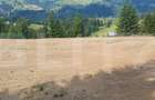 Teren 18.933 mp, parcelabil, zona Vatra Dornei - 8