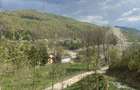 Teren vedere panoramica lac Paltinu si dealuri impadurite in Valea Dof - 2