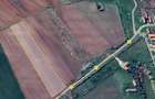 Teren 1.3 Ha Front 44m, Curent, Pozitie Excelenta (Zona Sali Evenimente / Padure) in com. Pischia