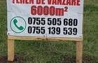 Vant teren intravilan 6000 mp-Turnisor,str.Ogorului - 3