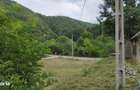 Casa de caramida la rosu, 3765mp teren intravilan, Valea Ariesului, AB - 5