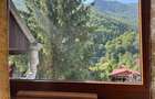 Casa superba de vanzare sau schimb in Ilfov est - Ganeasa, Branesti, Cozieni, Pasarea, Cernica, Glina, Popesti-Leordeni... - 7