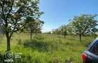 Teren Bazosul Nou , 500 000 mp-investitii agricole